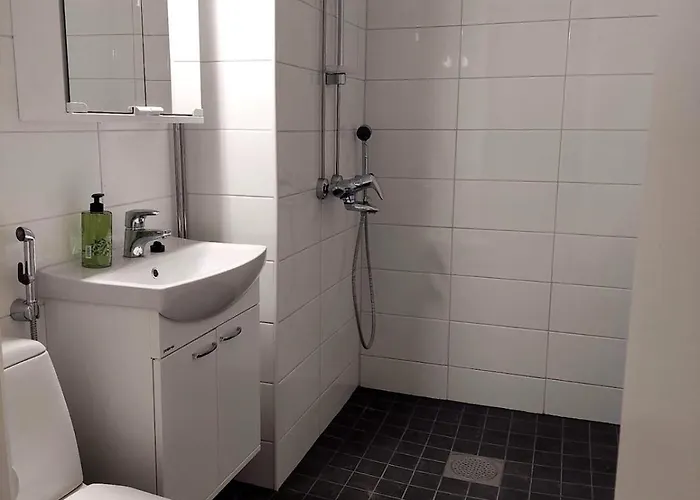 公寓 Cozy At Arctic Circle 罗瓦涅米